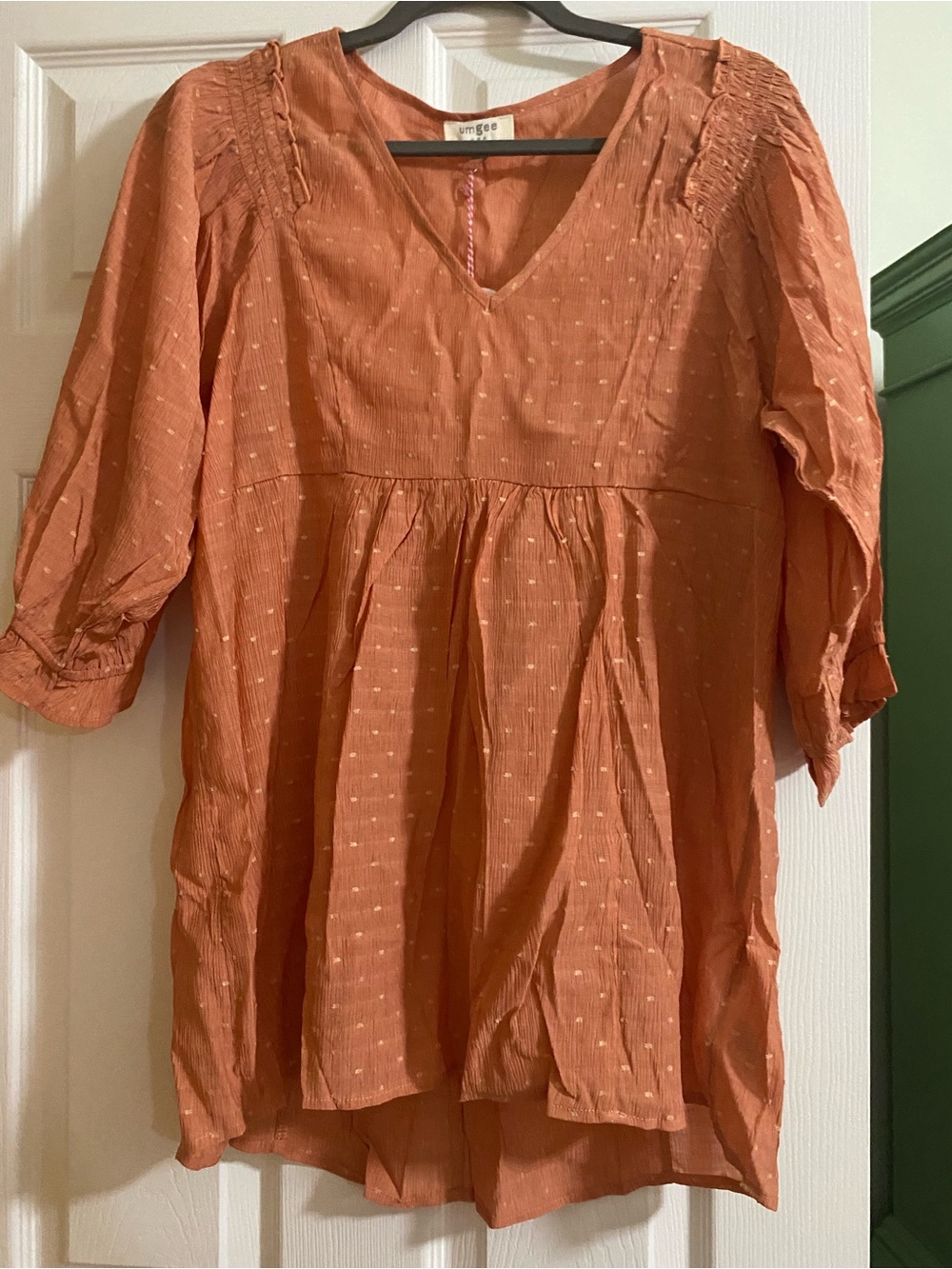 Umgee Women's Apricot Smocked V-Neck Tunic